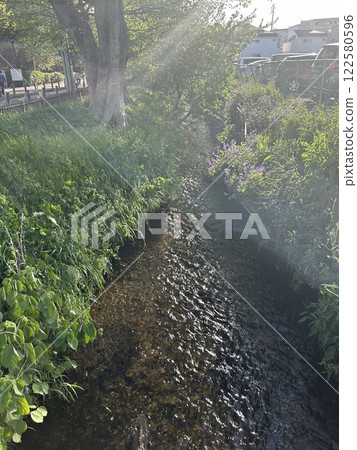 This is the clear water from the Nobidome Irrigation Canal, located near Yasaka Station on the Seibu Line. This is the clear water from the Nobidome Irrigation Canal, located near Yasaka Station on the Seibu Line. 122580596