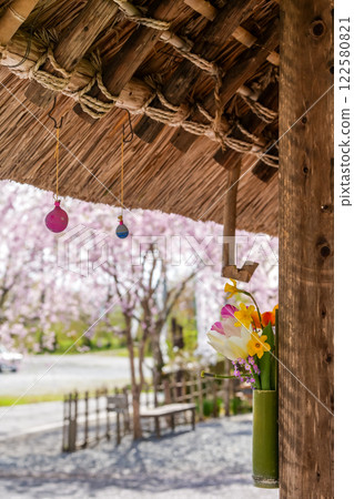 Pink weeping cherry blossoms seen from under the eaves of a thatched roof at Fumonji Temple in Maniwa, Okayama Prefecture Pink weeping cherry blossoms seen from under the eaves of a thatched roof at Fumonji Temple in Maniwa, Okayama Prefecture 122580821