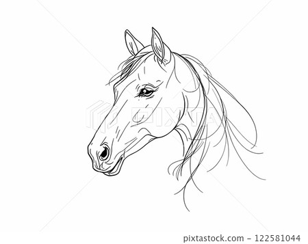 Elegant Line Art of Horse Head Illustration 122581044
