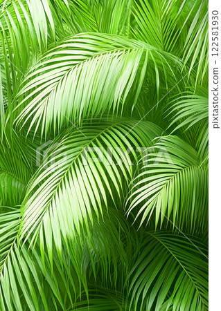 Lush green palm leaves texture for nature-inspired design backgrounds 122581930