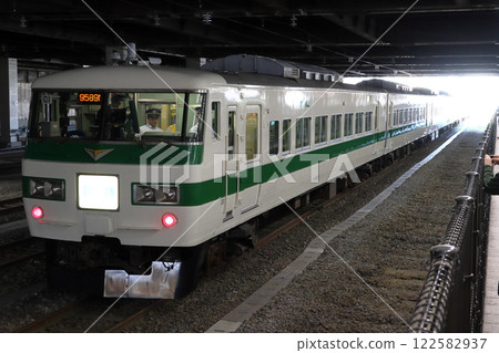 Group tour train: ~Oh Hiso Oso Mifu! Tour the railway town of Omiya with the 185 series C1 train~ Group tour train: ~Oh Hiso Oso Mifu! Tour the railway town of Omiya with the 185 series C1 train~ 122582937