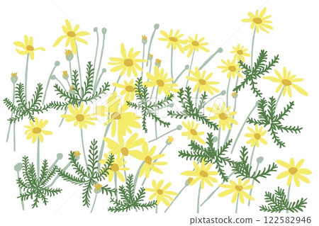 Daisy illustration material Daisy illustration material 122582946