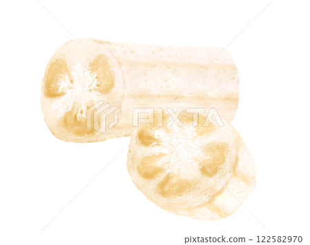 Hand-drawn illustration of a loofah 122582970