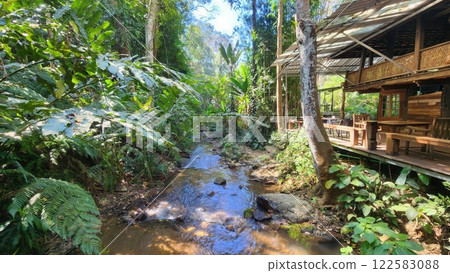 Tranquil Stream Flowing Through Lush Green Tropical Forest Retreat 122583088