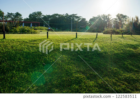 Park scenery with lawn in the morning sun 122583511