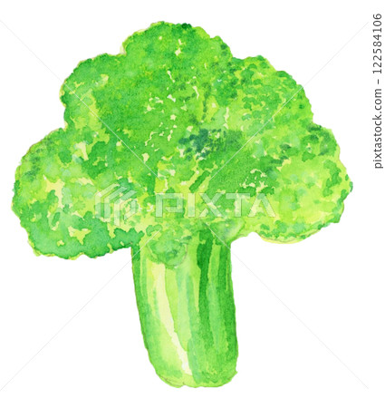 Hand-drawn watercolor illustration of delicious looking broccoli 122584106