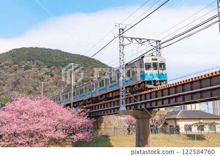 <河津町>河津櫻花節期間,伊豆急行線沿河津櫻花線行駛 <河津町>河津櫻花節期間,伊豆急行線沿河津櫻花線行駛 122584760