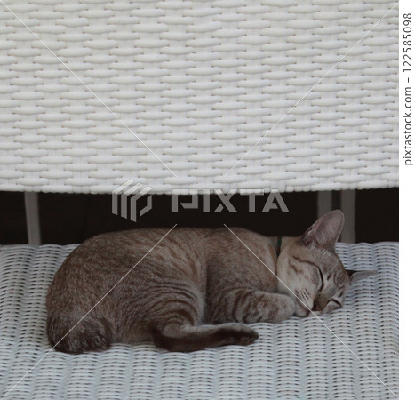 A brown tabby cat sleeping soundly during a nap A brown tabby cat sleeping soundly during a nap 122585098
