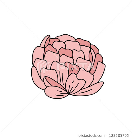 A pink flower with a white background 122585795