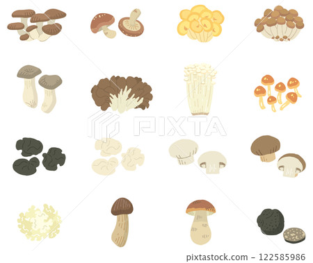 16 種蘑菇的插圖/無名稱（可用向量圖） 122585986