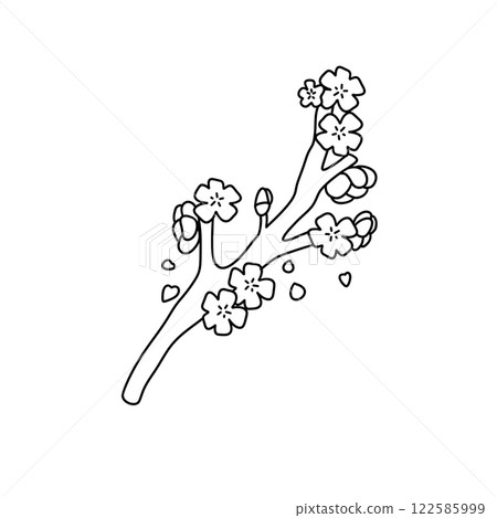 A branch with blossoms on it A branch with blossoms on it 122585999