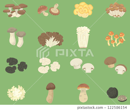 Illustrations of 16 types of mushrooms / no names (vector available) Illustrations of 16 types of mushrooms / no names (vector available) 122586154