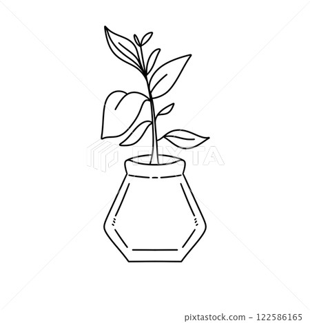 A plant is in a vase A plant is in a vase 122586165