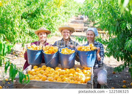 Happy farmers posing with harvest of ripe peaches in orchard 122586325