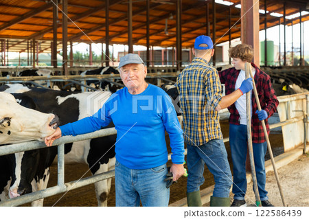 Smiling elderly livestock farm owner playing with cow 122586439