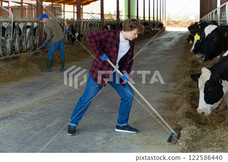 Young farmer who is feeding beasts at cow farm Young farmer who is feeding beasts at cow farm 122586440