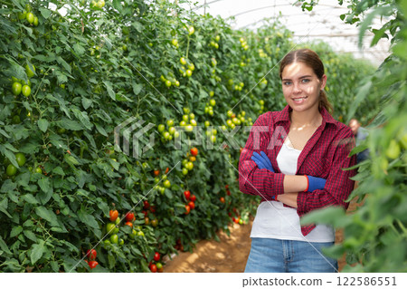 Portrait of woman engaged tomatoes in cultivation in glasshouse, proud of plants 122586551