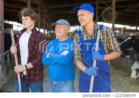 Portrait of three successful farmers at dairy farm with cows in stall in background 122586634