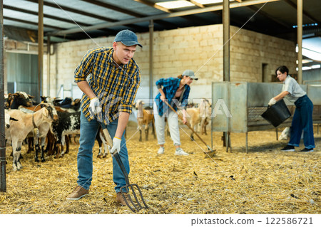 Young male farmer in plaid shirt feeding domestic animals with hay organic food on goat farm. Meat and dairy production 122586721