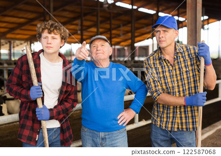 Elderly farmer instructs helpers what to do on cow farm Elderly farmer instructs helpers what to do on cow farm 122587068