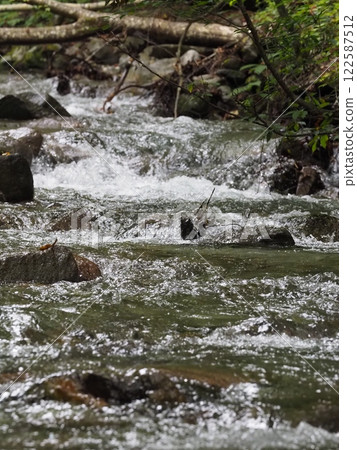 At Nishizawa Valley 122587512