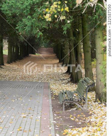Walkway in the park in the summer Walkway in the park in the summer 122587550