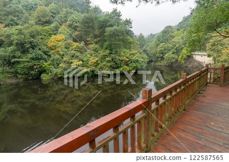 redwood bridge along forest lake in park redwood bridge along forest lake in park 122587565