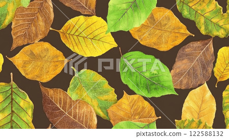 Colorful autumn leaves on dark background 122588132