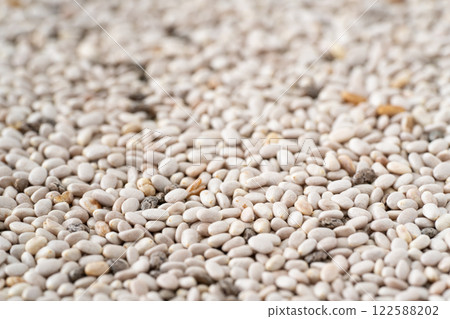 白嘉種子特寫 122588202