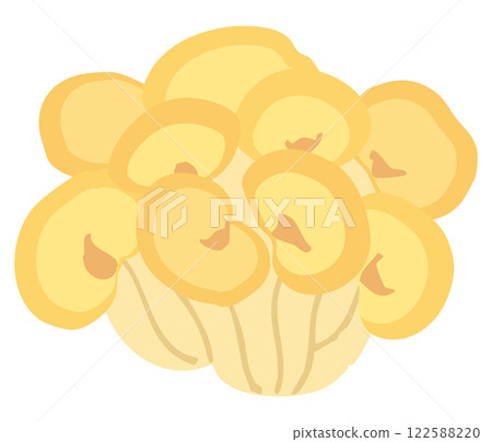 Tamogitake 蘑菇的插圖 122588220