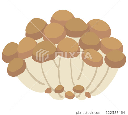 Illustration of Shimeji mushroom 122588464