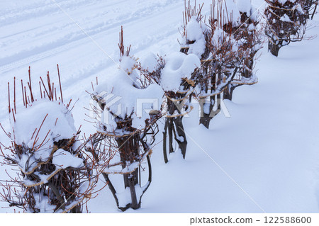 冬季準備雪柵欄 冬季準備雪柵欄 122588600