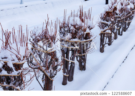 Winter preparation snow fence 122588607