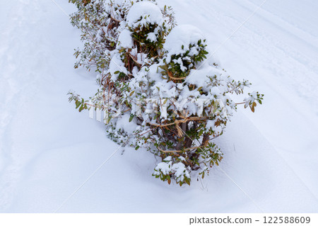 冬季準備雪柵欄 122588609