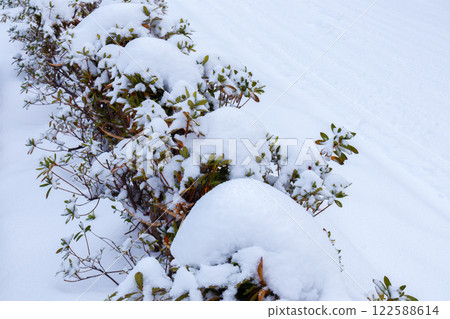 Winter preparation snow fence 122588614