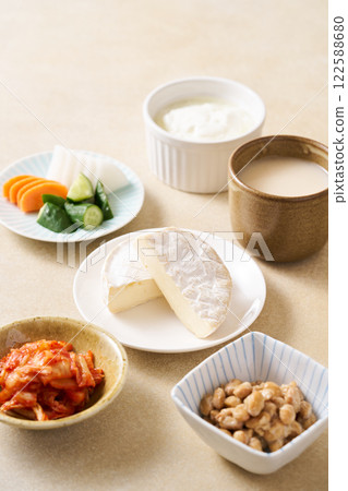 Various fermented foods 122588680