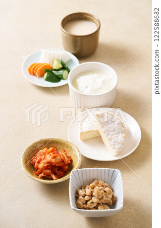 Various fermented foods 122588682