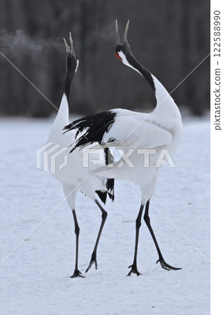 起重機起重機 122588990