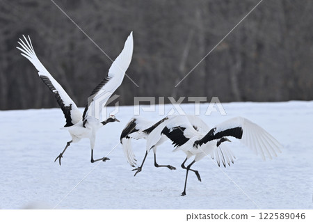 日式起重機 122589046