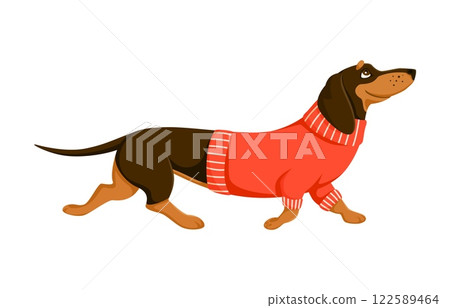 Dachshund dog pet cartoon cute character. Dachshund dog companion cartoon cute character, puppy pet isolated vector funny personage. Animal friend cheerful mascot or funny personage wearing sweater 122589464