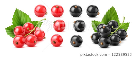 Realistic red and black currant berry with glossy skin and vibrant green leaves, showcasing freshness. 3d vector set of fruits for healthy eating, gardening, or culinary uses such as jams and desserts 122589553