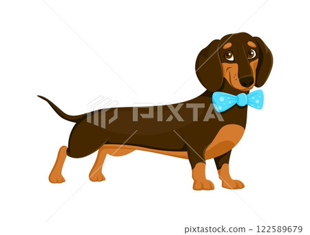 Dachshund dog pet cartoon funny character. Dog friend cartoon cute personage, puppy companion isolated vector funny character. Dachshund dog pet happy mascot or funny character wearing blue bow tie 122589679