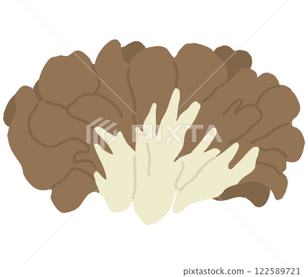 舞茸插圖 122589721