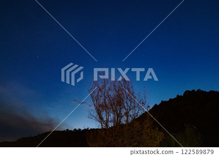 Lonely tree under the starry sky in Lijiang Ancient Town Lonely tree under the starry sky in Lijiang Ancient Town 122589879