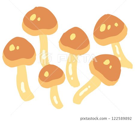 滑子菇的插圖 122589892