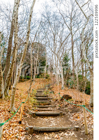 鋪滿落葉的樓梯通往山頂 122589996