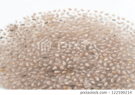 Close-up of white chia seeds soaked in water Close-up of white chia seeds soaked in water 122590214