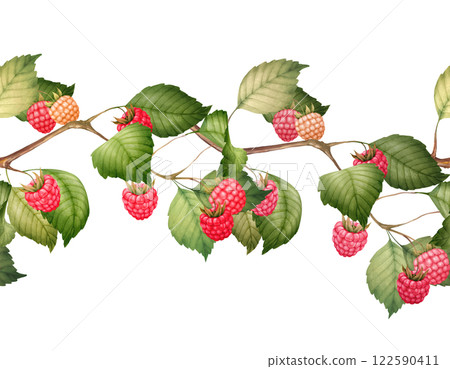 Raspberry seamless border with berries and leaves, hand-drawn botanical illustration. 122590411