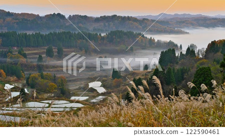 Hoshi Pass, with its yellow leaves in autumn. Early morning scenery of misty rice terraces. Hoshi Pass, with its yellow leaves in autumn. Early morning scenery of misty rice terraces. 122590461