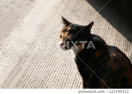 可以拍照，但請確保照片是由漂亮的人拍攝的。 122590522